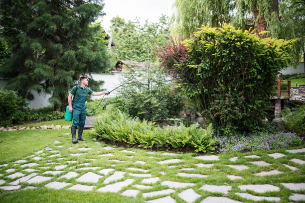 Trusted Halfway House, PA Pest Control Experts