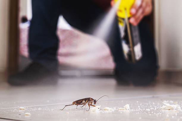 Best Wildlife Control Services  in Halfway House, PA