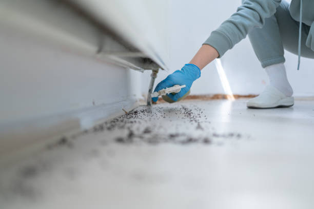 Best Ant Control Services  in Halfway House, PA
